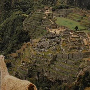 Machupicchu en tren, tour en tren a Machu Picchu