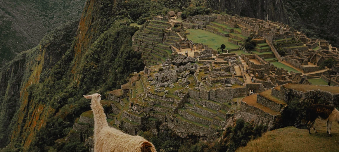 Machupicchu en tren, tour en tren a Machu Picchu