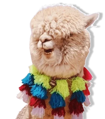 llama_supertramp_hostelcusco-removebg-preview 1 (3) (1) llama_supertramp_hostelcusco-removebg-preview 1 (3) (1)